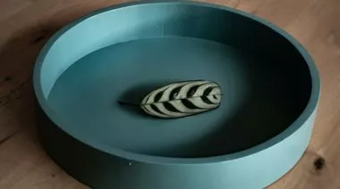 plating-instructions-image